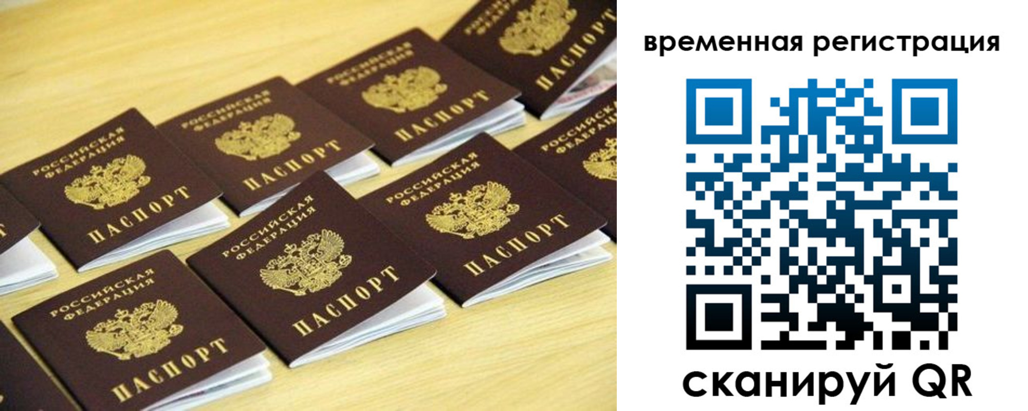 временная прописка в Светлом